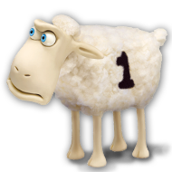 Memory Foam mattresses